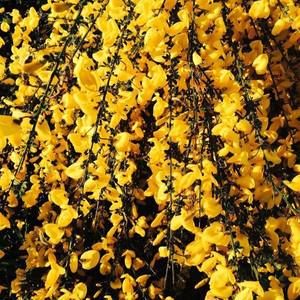 Meet your Posher, Moises